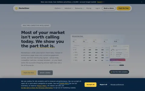 MarketSizer homepage preview